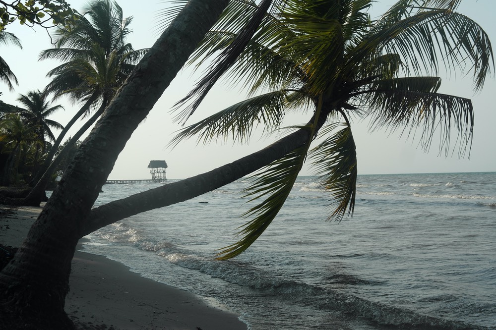 32. Beach in Livingston